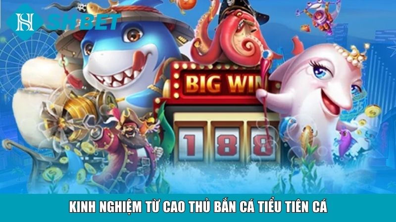 Kinh nghiệm từ cao thủ bắn cá tiểu tiên cá